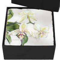 * 4 Cork-Backed Coasters White Orchid * 4 Cork-Backed Coasters White Orchid